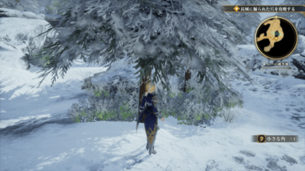 ムーの越冬地の場所の見た目