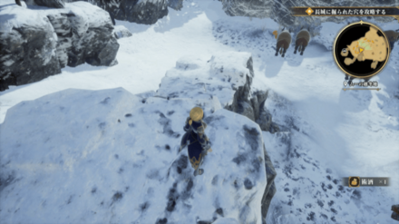 ムーの越冬地の場所の見た目