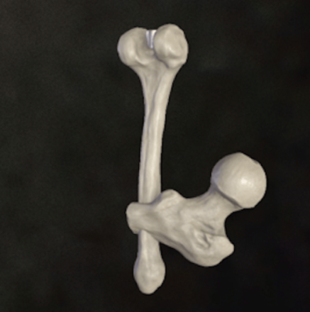 壊れた鍵の一部（骨）の画像