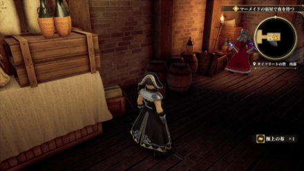 サイフリートの砦・内部の場所の見た目