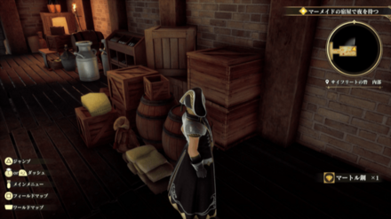 サイフリートの砦・内部の場所の見た目