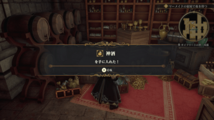 サイフリートの砦・内部の場所の見た目