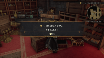 サイフリートの砦・内部の場所の見た目