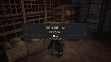 サイフリートの砦・内部の場所の見た目