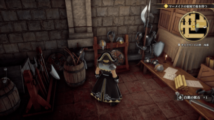 サイフリートの砦・内部の場所の見た目