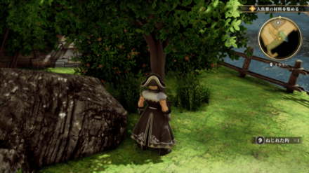 ミラマーの場所の見た目