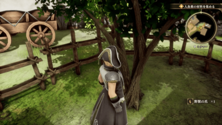 ミラマーの場所の見た目