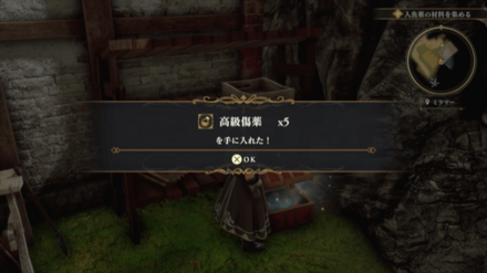 ミラマーの場所の見た目