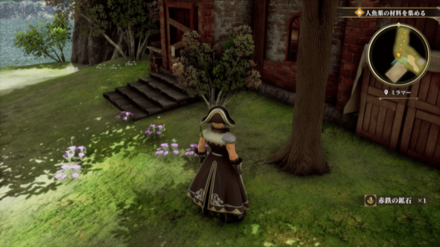 ミラマーの場所の見た目