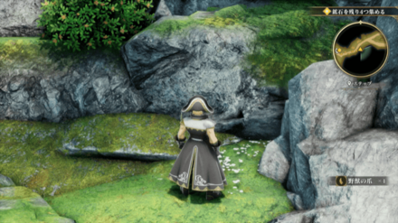 ステップの場所の見た目