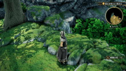 ステップの場所の見た目