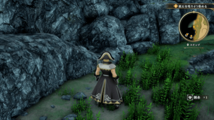 ステップの場所の見た目