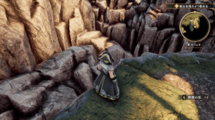 サバンナの場所の見た目