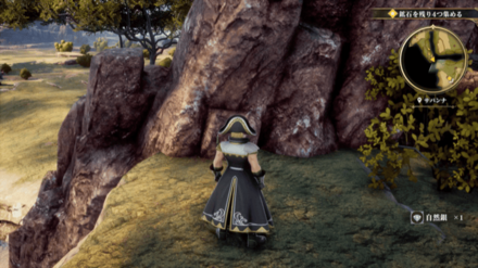 サバンナの場所の見た目