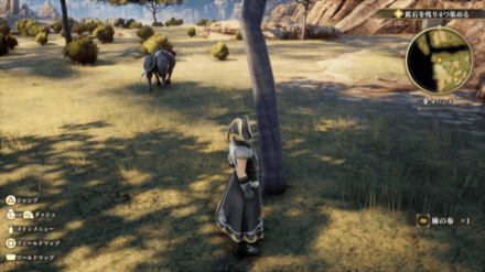 サバンナの場所の見た目