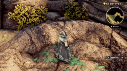 サバンナの場所の見た目