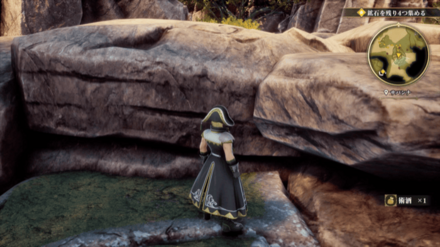 サバンナの場所の見た目