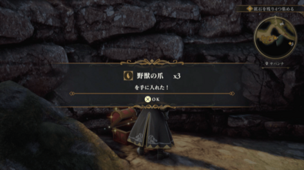 サバンナの場所の見た目