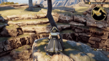 サバンナの場所の見た目