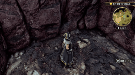 サバンナの場所の見た目