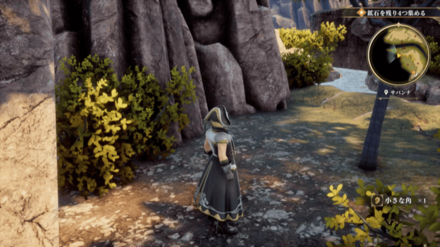 サバンナの場所の見た目