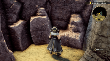 サバンナの場所の見た目