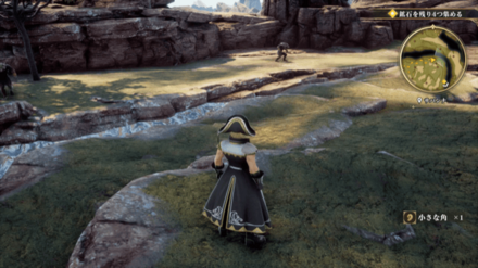 サバンナの場所の見た目