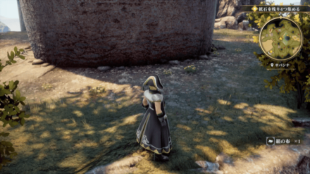 サバンナの場所の見た目