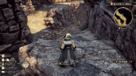 サバンナの場所の見た目