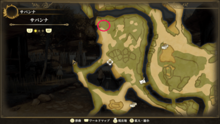 サバンナのマップ