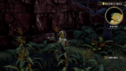 南の集落の場所の見た目