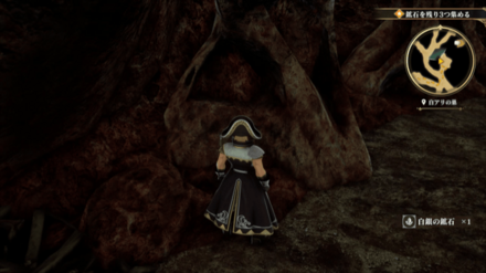 白アリの巣の場所の見た目