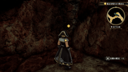 白アリの巣の場所の見た目