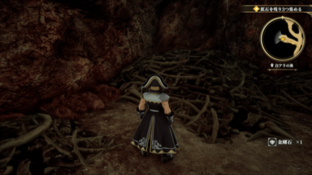 白アリの巣の場所の見た目