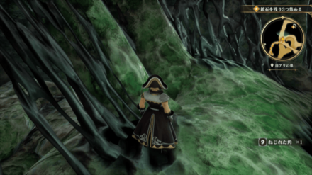 白アリの巣の場所の見た目