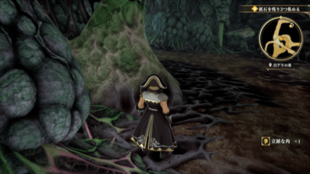 白アリの巣の場所の見た目