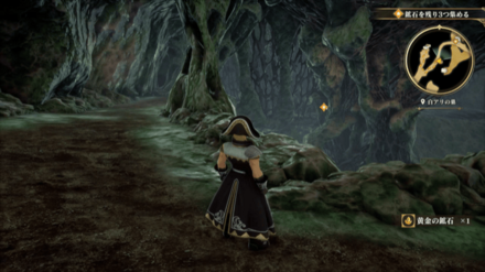 白アリの巣の場所の見た目