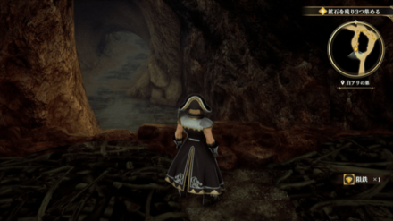 白アリの巣の場所の見た目