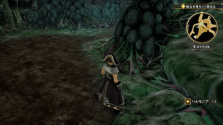 白アリの巣の場所の見た目