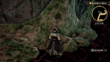 白アリの巣の場所の見た目