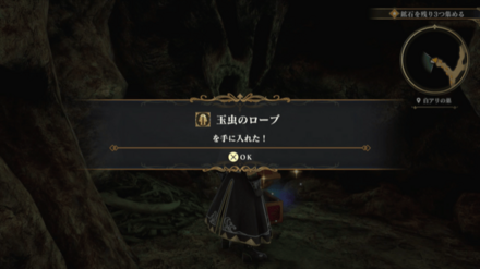 白アリの巣の場所の見た目