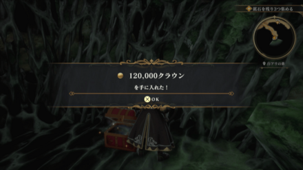 白アリの巣の場所の見た目