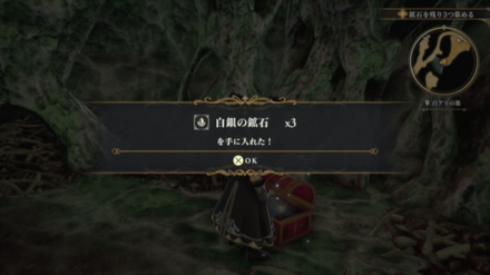 白アリの巣の場所の見た目