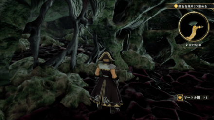 白アリの巣の場所の見た目