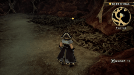 白アリの巣の場所の見た目