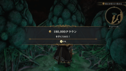 白アリの巣の場所の見た目