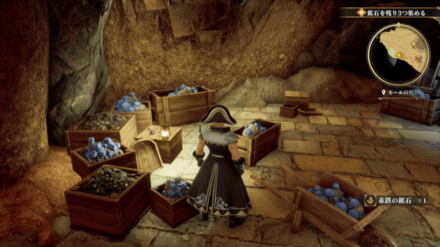 モールの穴の場所の見た目