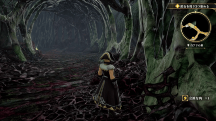 白アリの巣の場所の見た目