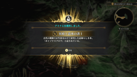 白アリの巣の場所の見た目