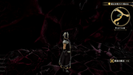 白アリの巣の場所の見た目